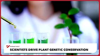 Scientists drive plant genetic conservation | Vietnam Today