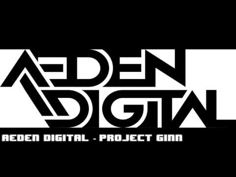Aeden Digital - Project Ginn