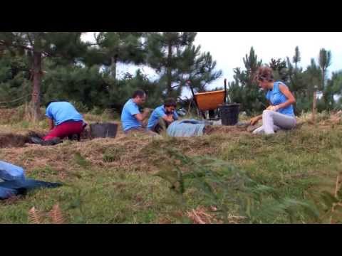 "Bidania-Goiazko Iromendiko San Pedro elizan II. ikerketa kanpaina" 2013