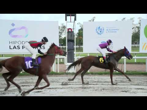 230325 c06 - PASO EXOTICO - HIPODROMO LAS PIEDRAS