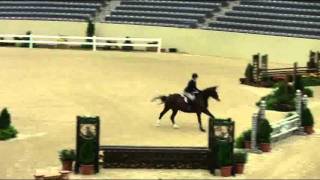 Video of NEEDLESS TO SAY ridden by POSEY OBRECHT from ShowNet!