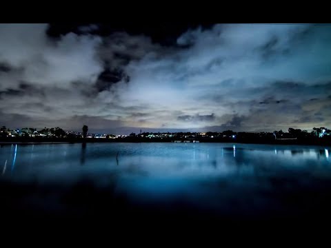 WithoutMyArmor - Long Way Down