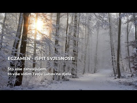 Egzamen - ispit svjesnosti (4)