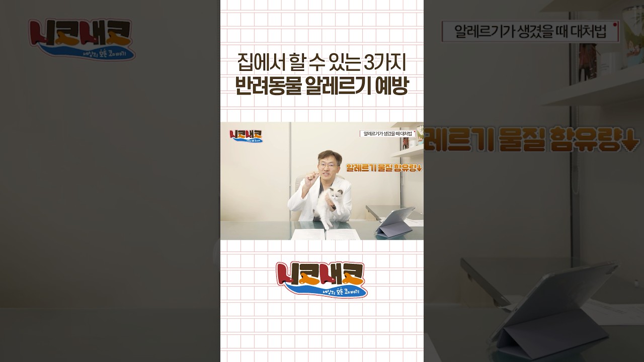 집에서 하는 반려동물 알레르기 예방