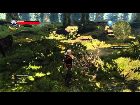 The Witcher 3: How to kill a Leshen on Death's March Difficulty Tutorial/Let's Play