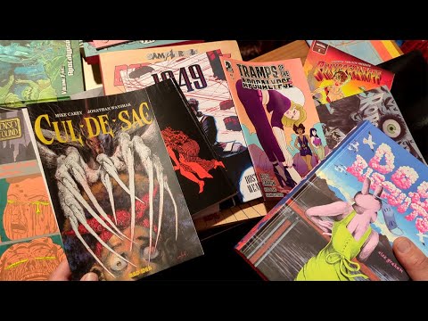 Comicbeute August 2025 - Slaine, Thorgal, Michel Vaillant, Cul-De-Sac, Mangas, Corben, Kunstbücher..