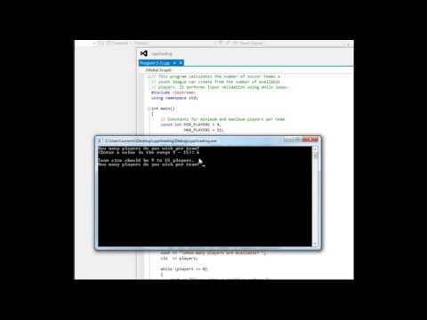 Using A While Loop To Validate Input