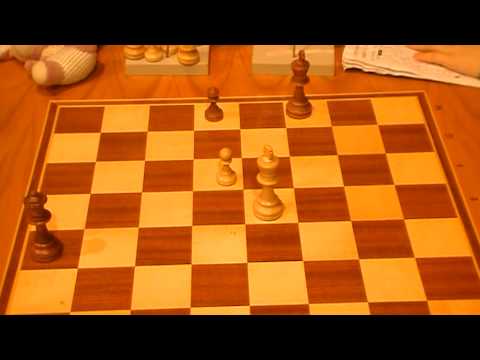 8.1. Chlebek Jan - Brejník Gustav 3.časť