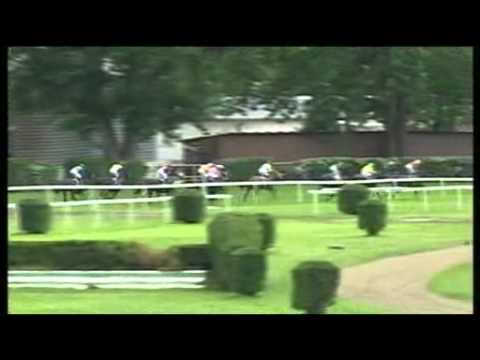 1st Alfkona - Prípravná cena