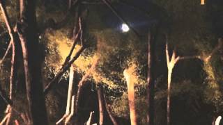 Smoke and Mirrors - Widowspeak