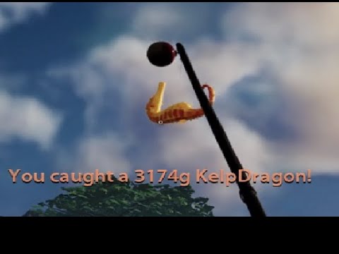 Gatekeeping Online II: Fishing Kelp Dragon