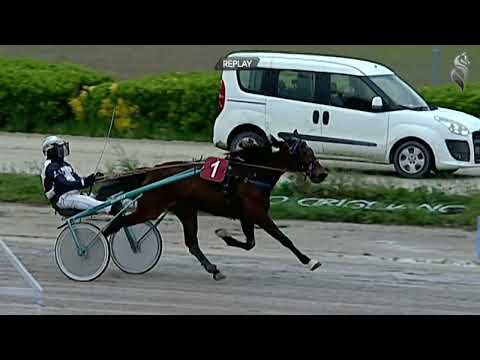 Aversa trotto 15 Aprile 2023 - 2° Corsa