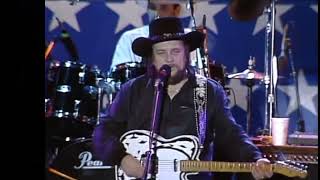 WAYLON JENNINGS - "Didn' We Shine"