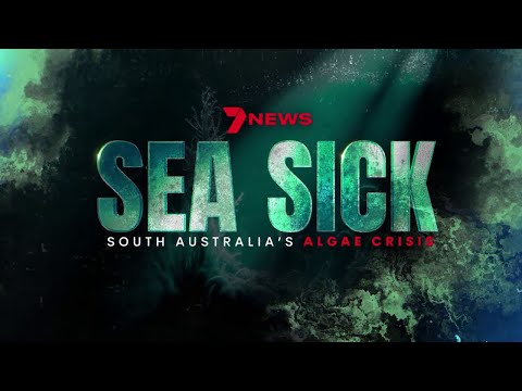 Sea Sick: South Australia’s algae crisis – a 7NEWS Adelaide special event