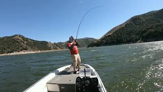 Summer bass fishing deep cranking