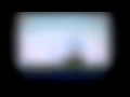 Angry Birds Wmv