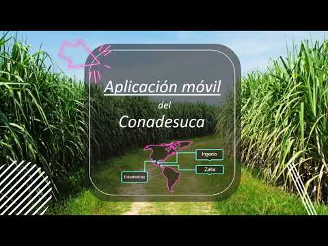 Conadesuca