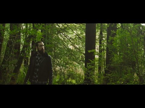 Avriel & The Sequoias - Fields And Pier (Official Video)