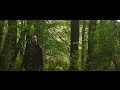 Avriel & The Sequoias - Fields And Pier (Official Video)