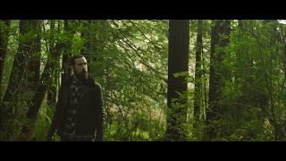 FIELDS AND PIER - AVRIEL &amp; THE SEQUOIAS