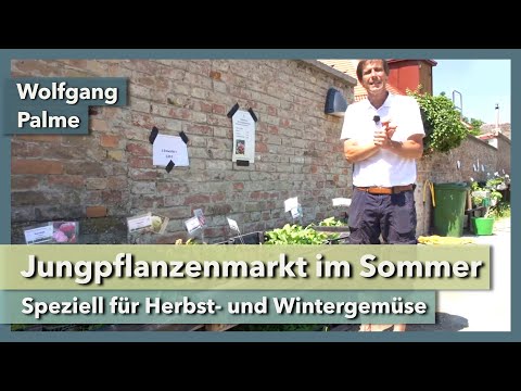 Jungpflanzenmarkt im Sommer - für Wintergemüse | Wolfgang Palme & City Farm | Rundgang 3 | 2021
