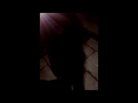 YOU_REC  - SAINT JUREK