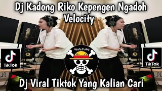 Download lagu KARI CERITO COVER NIKEN MELANI FT VITHAAA FT HAPPY ASMARA VELOCITY KOPLO VIRAL TIKTOK LATEST mp3 Download lagu KARI CERITO COVER NIKEN MELANI FT VITHAAA FT HAPPY ASMARA VELOCITY KOPLO VIRAL TIKTOK LATEST mp3
