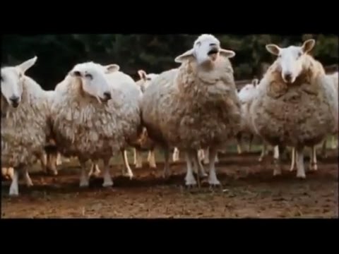 Desertuna - Entrada na SA2010