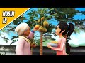 Upin Ipin Musim 18 Full Movie Panen Buah Pepaya Upin Ipin Terbaru 2024