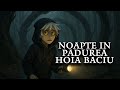 I Spent The Strangest Night In The Hoia Baciu Forest Horror Story