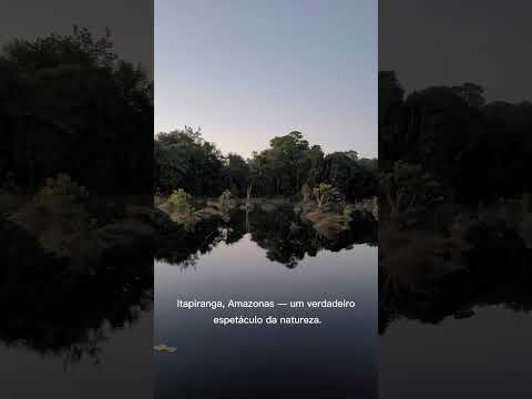 Igarape grande Itapiranga Amazonas, #itapiranga #Amazonas #igarapé