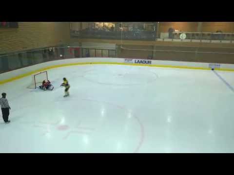 Viru Sputnik vs HC Panter  2016