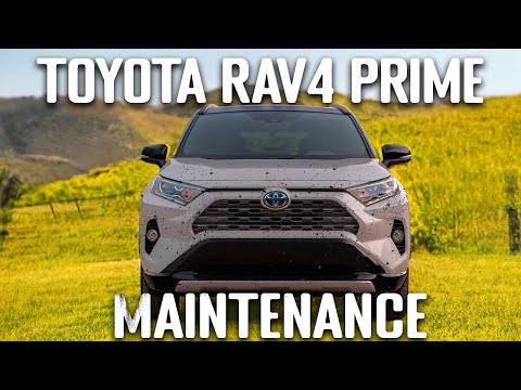 Toyota RAV4 Prime - 12v battery maintenance and more accessories
