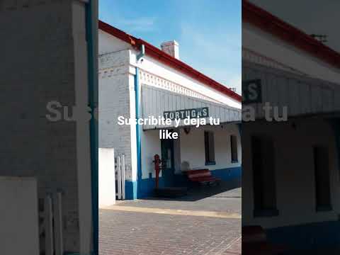 Tortugas Santa Fe Ruta Nacional 9