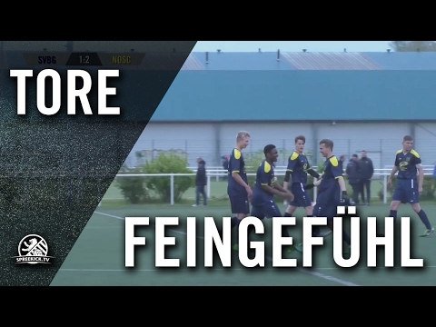 Traumtor von Maik Gragert (SV Blau-Gelb Berlin, U19 A-Junioren) | SPREEKICK.TV