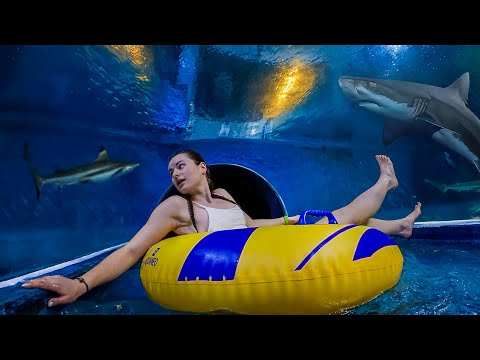 Inside the SHARK Tunnel Water Slide 🦈