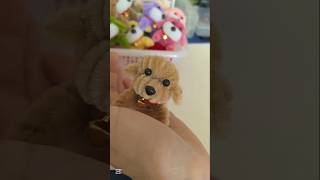DIY Pipe Cleaner Dog | Easy Puppy Tutorial for Beginners #pipecleanercraft #pipecleanerdog #handmade