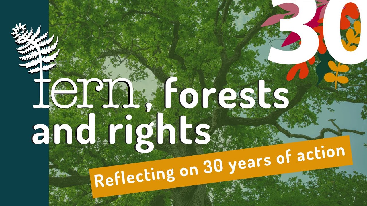 Fern, forests and rights: Reflecting on 30 years of action