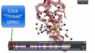 Aligin' Sequences
