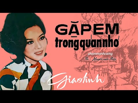 Gặp em trong quán nhỏ - Giao Linh