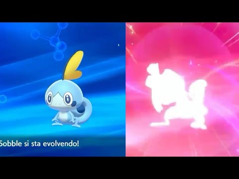 Sobble si evolve in Drizzile - Pokémon Spada e Scudo