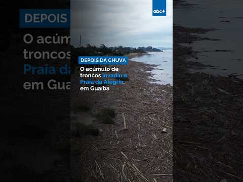 Acúmulo de troncos invadiu a Praia da Alegria, em Guaíba