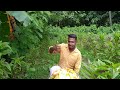 Maggi Noodles Sureshkamalahouse Malayalam