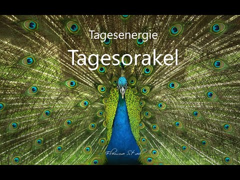 Tagesorakel Samstag 01.02.2020  - Eine neue Chance kommt auf dich zu!