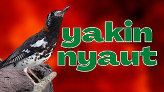 Download lagu YAKIN PASTI NYAUT JIKA PUTAR PANCINGAN ANIS KEMBANG INI mp3