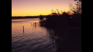 Sophie Hunger  .. House of gods  ..