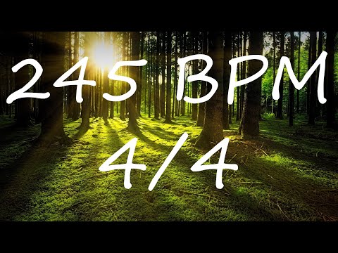 245 BPM 4/4 Claves Metronome