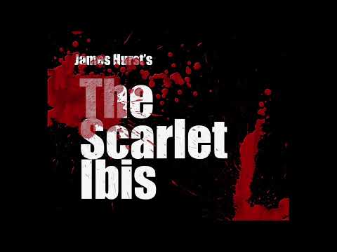 Flash Lit: A Reading of James Hurst's The Scarlet Ibis.