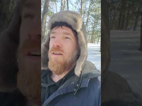 The Importance Of Humor