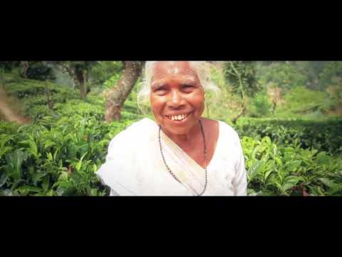 GREEN VALLEY FEAT SARITA LA MAKINA DEL RIDDIM